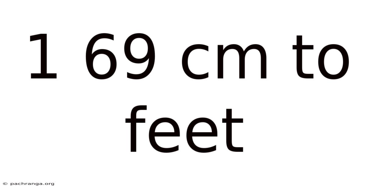1 69 Cm To Feet