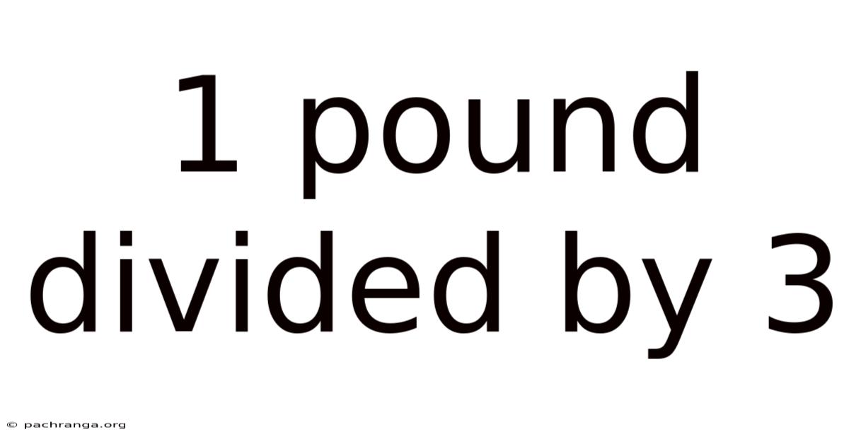 1 Pound Divided By 3