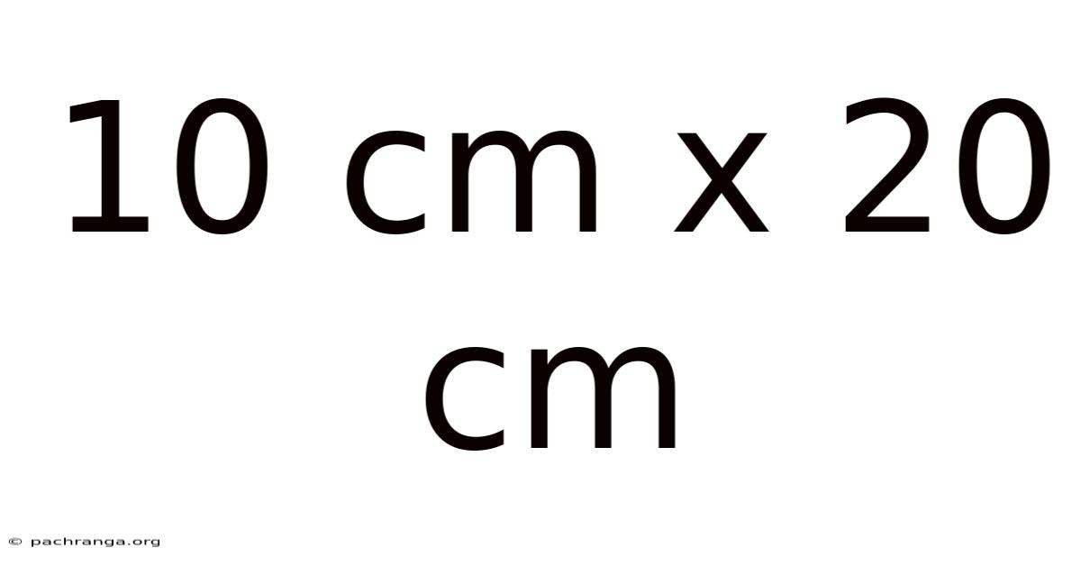 10 Cm X 20 Cm