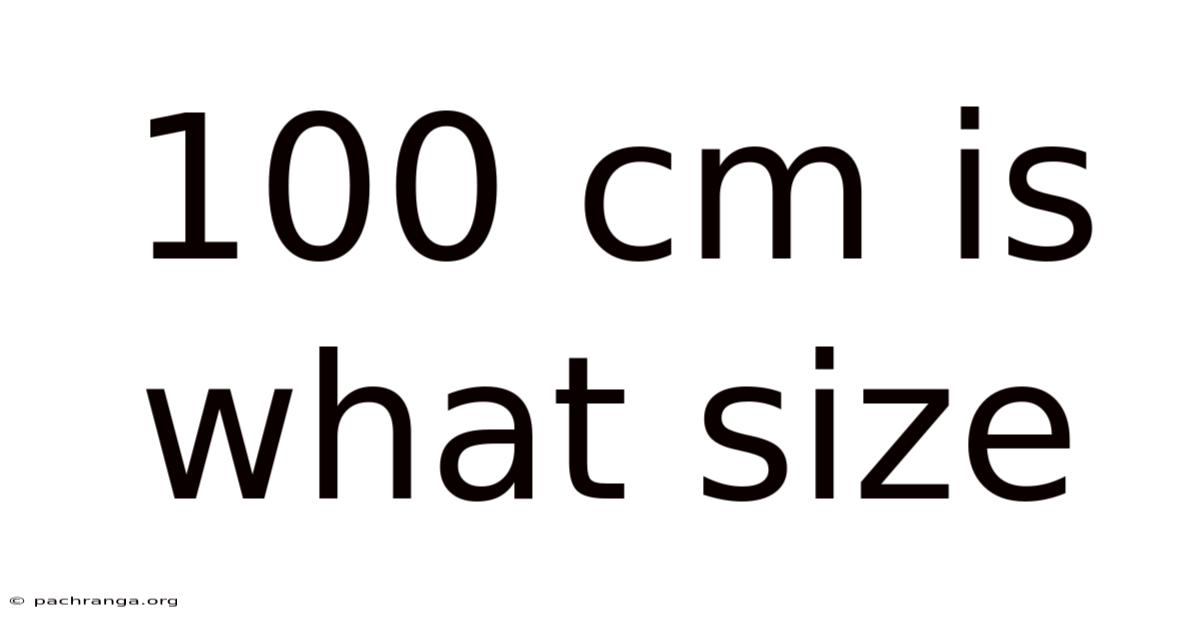 100 Cm Is What Size