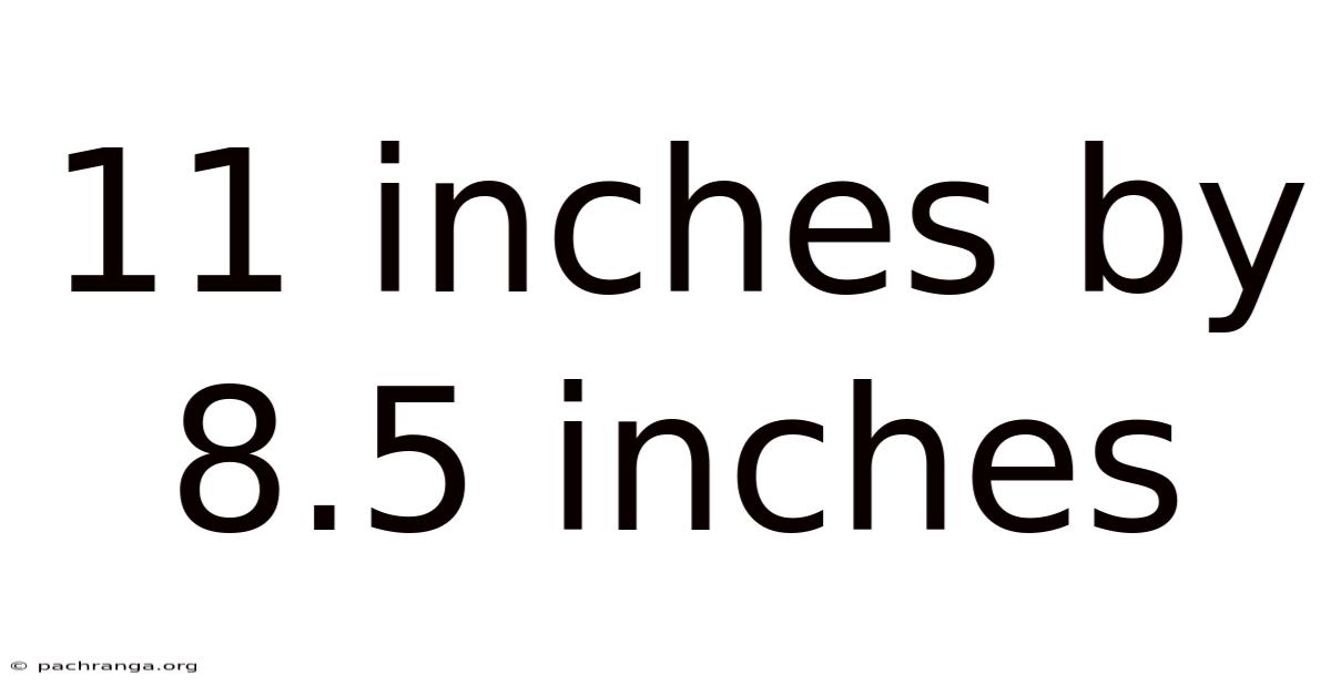 11 Inches By 8.5 Inches