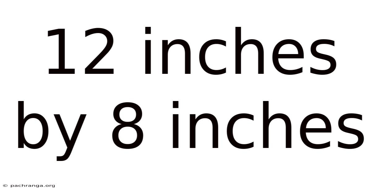 12 Inches By 8 Inches