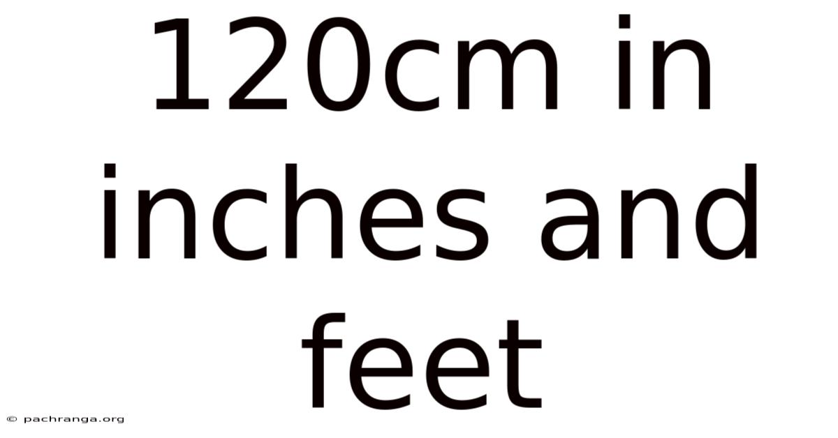 120cm In Inches And Feet