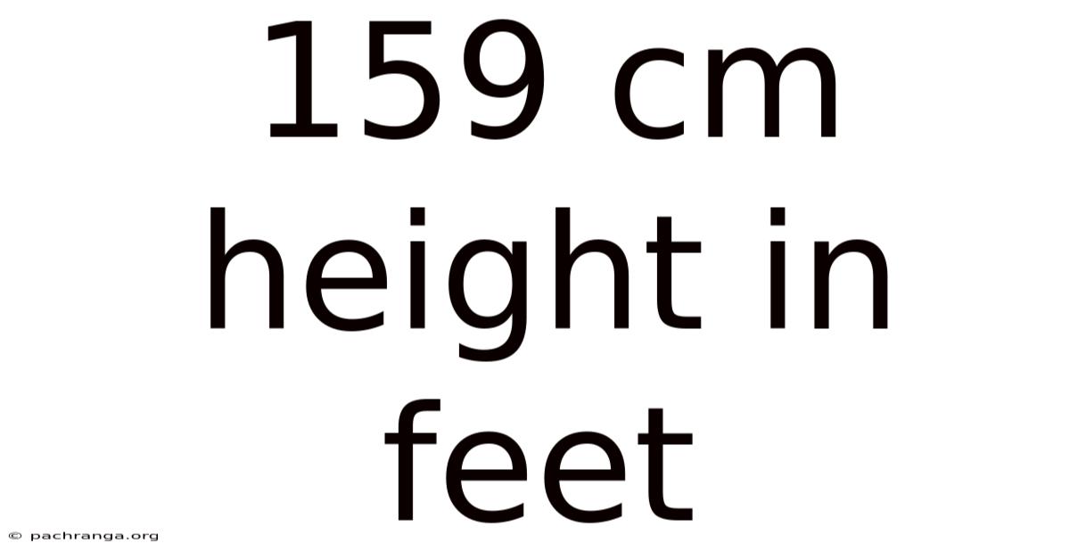159 Cm Height In Feet