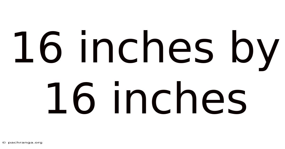 16 Inches By 16 Inches