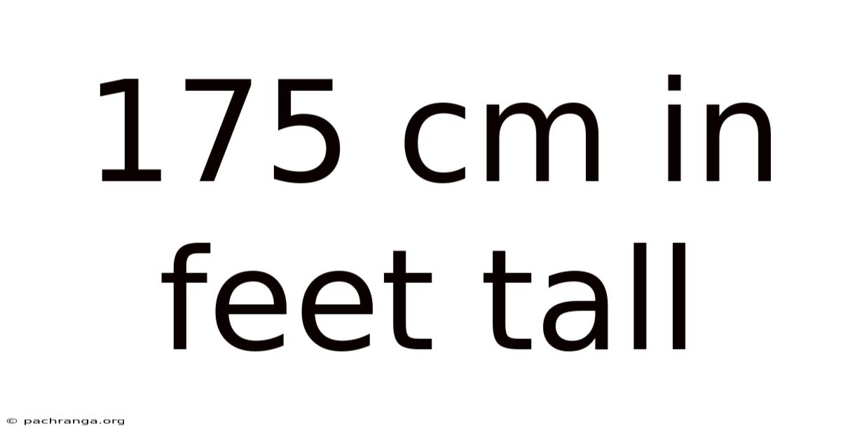 175 Cm In Feet Tall