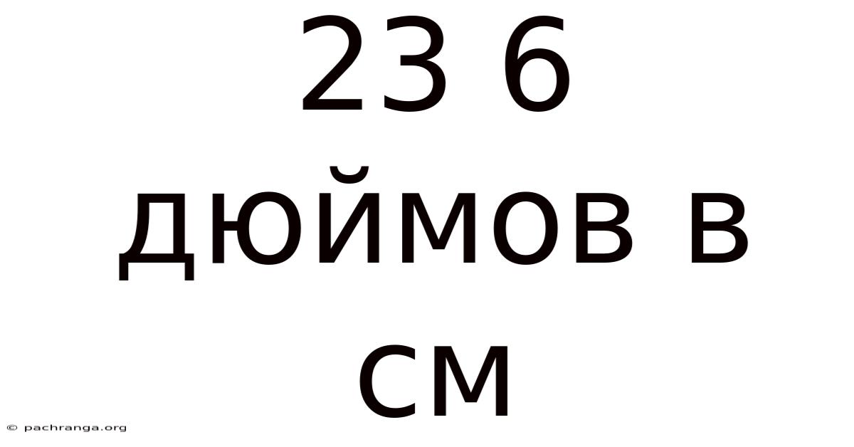 23 6 Дюймов В См
