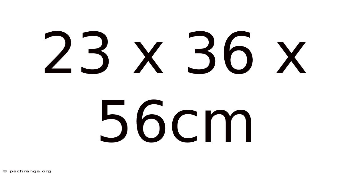 23 X 36 X 56cm