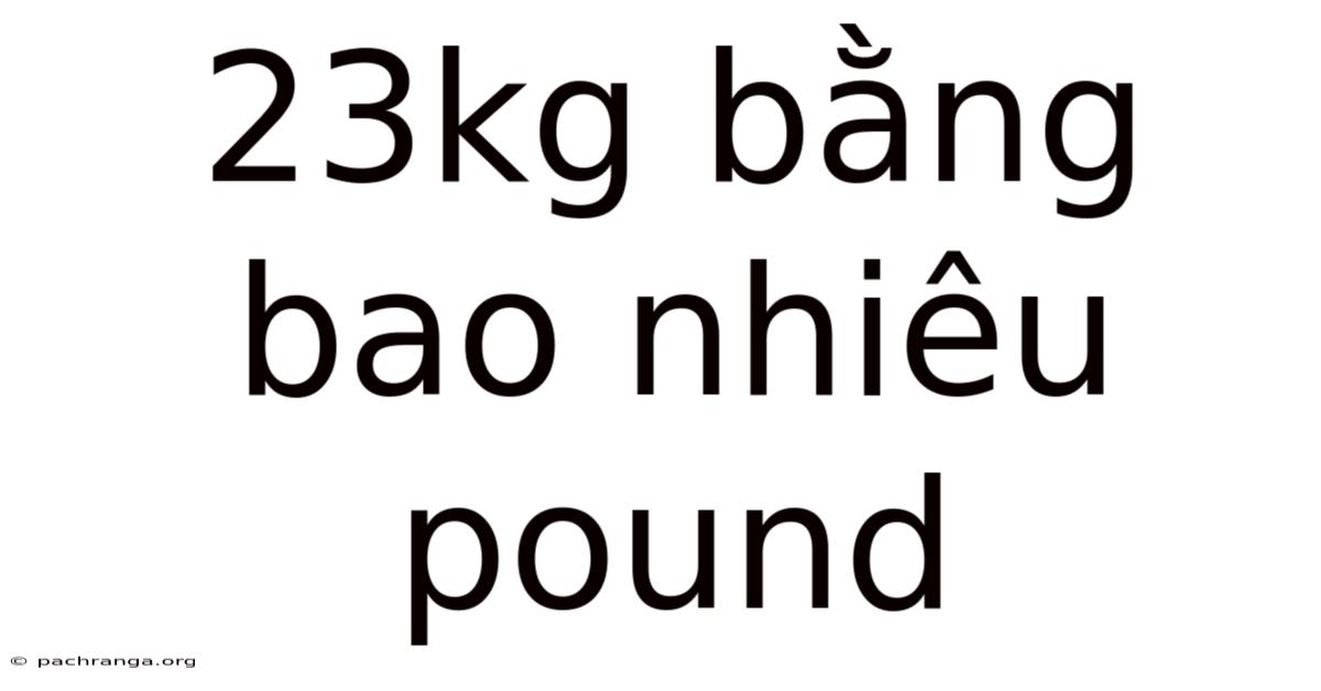 23kg Bằng Bao Nhiêu Pound