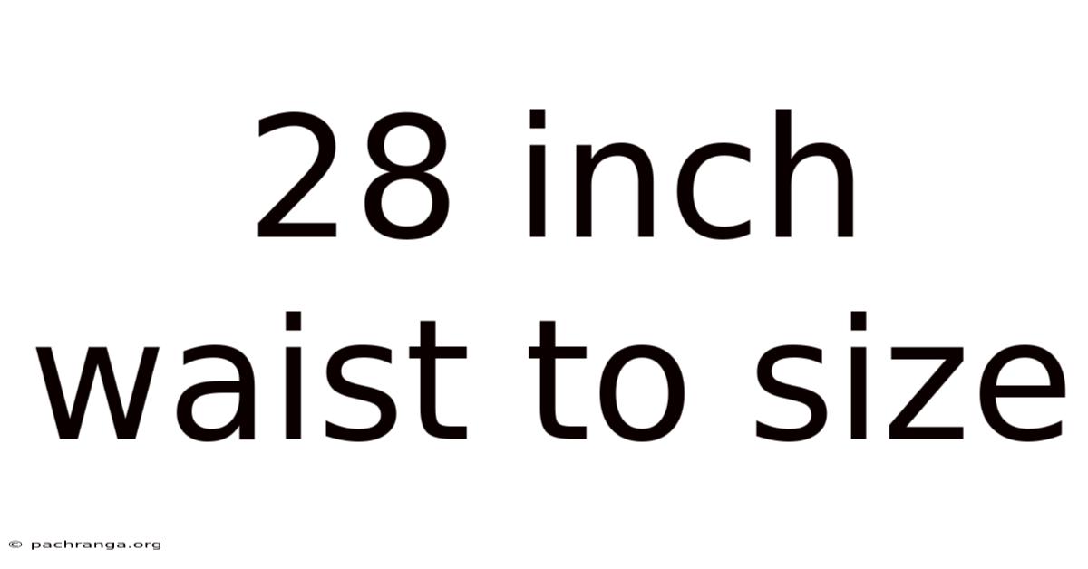 28 Inch Waist To Size