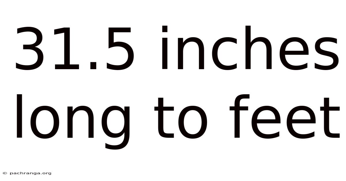 31.5 Inches Long To Feet