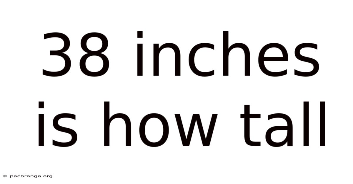 38 Inches Is How Tall
