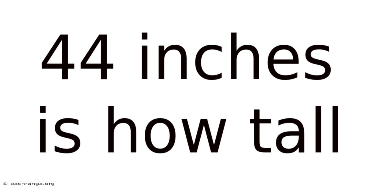 44 Inches Is How Tall