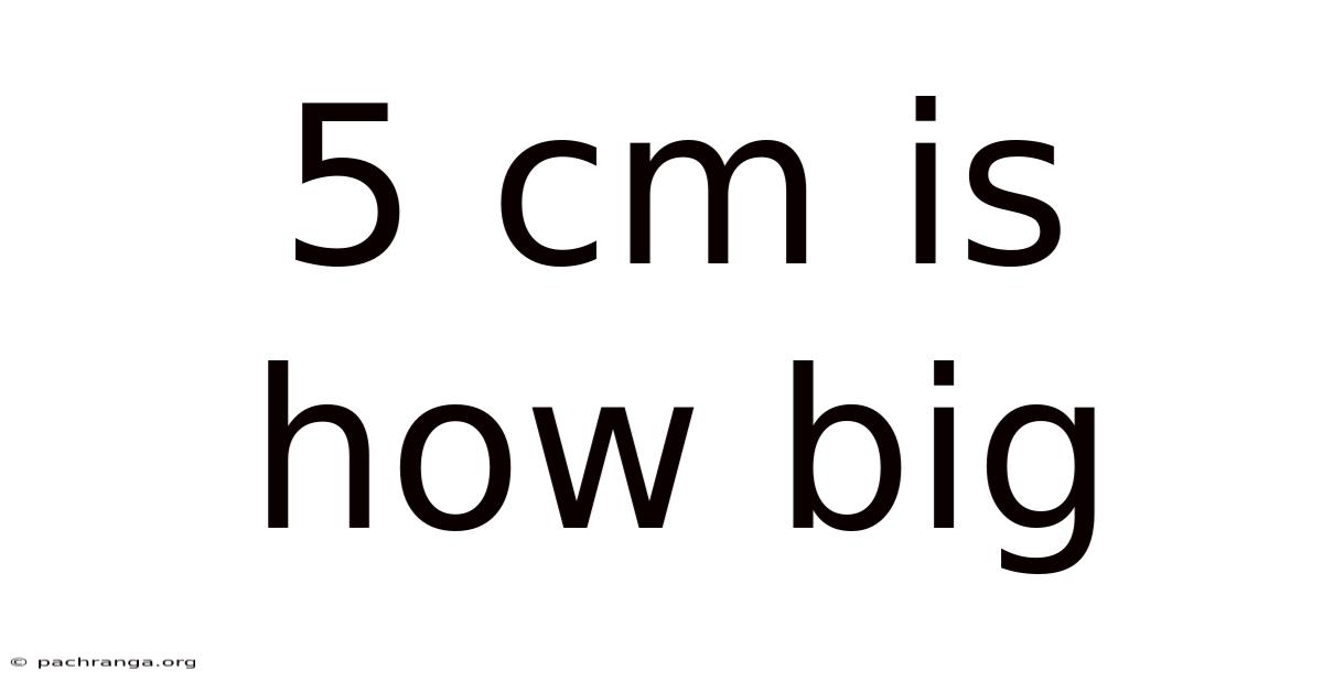 5 Cm Is How Big