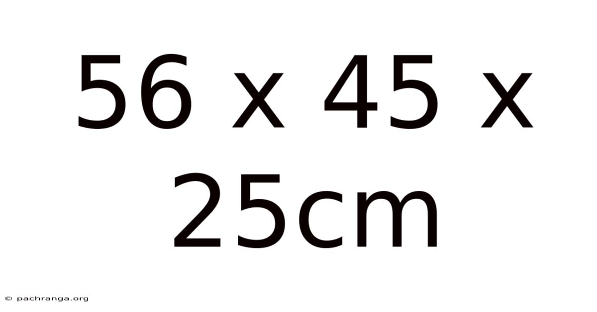 56 X 45 X 25cm