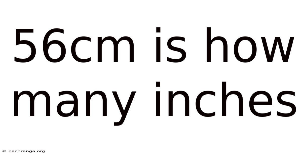 56cm Is How Many Inches