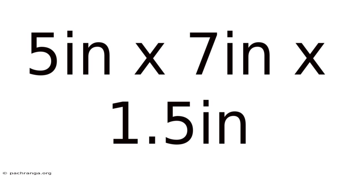 5in X 7in X 1.5in