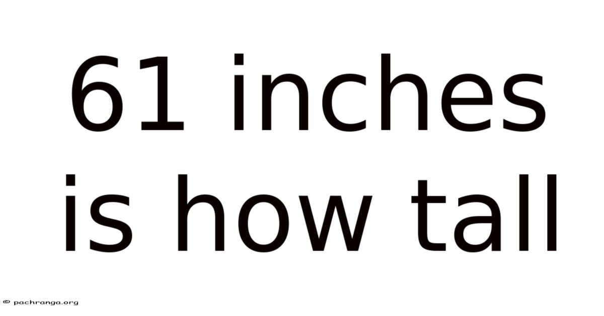 61 Inches Is How Tall