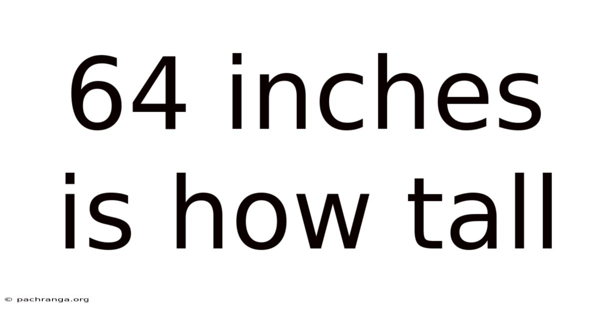 64 Inches Is How Tall