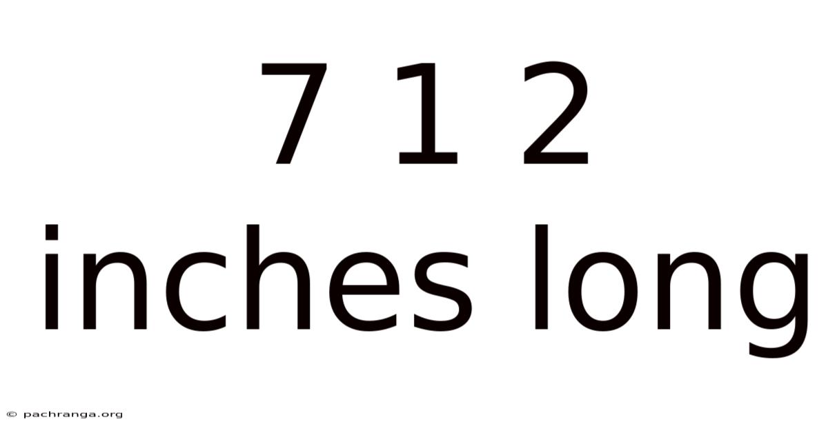 7 1 2 Inches Long