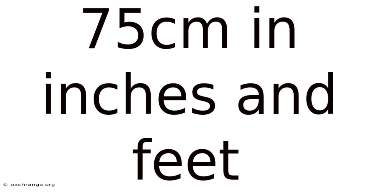 75cm In Inches And Feet