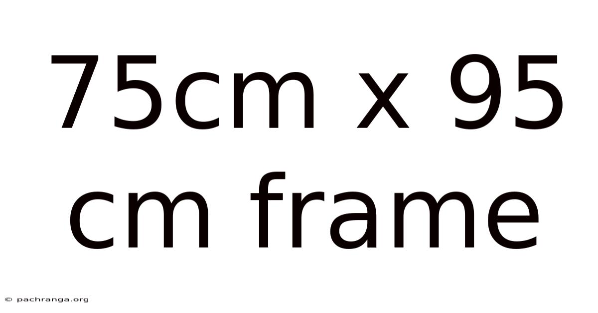 75cm X 95 Cm Frame