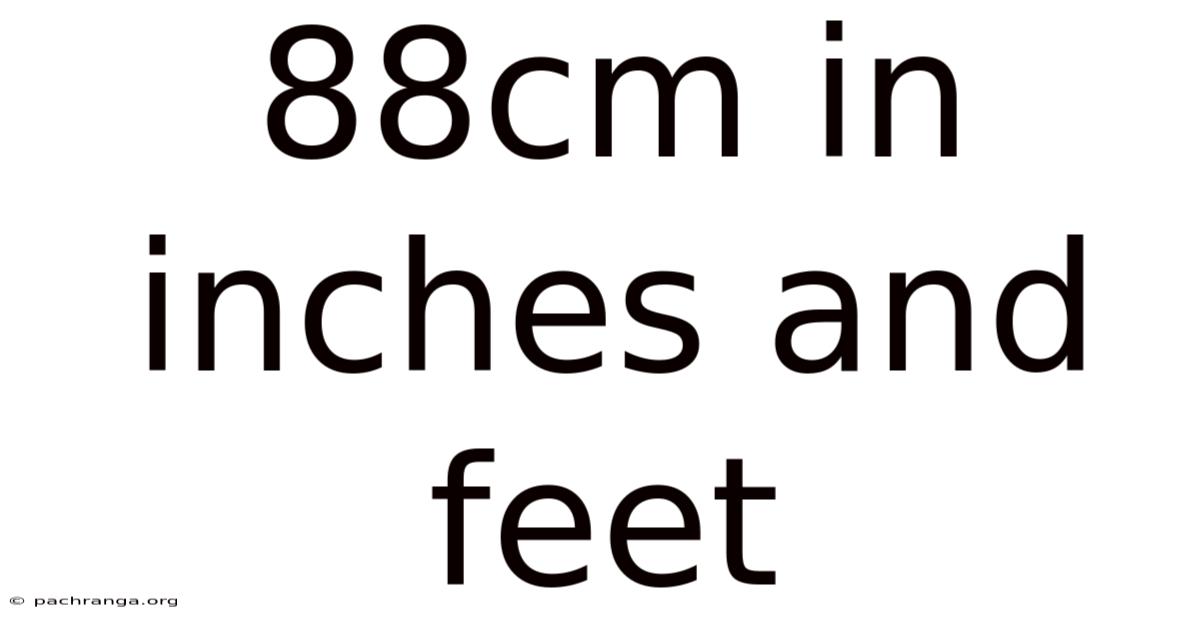 88cm In Inches And Feet