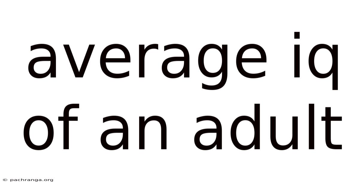 Average Iq Of An Adult