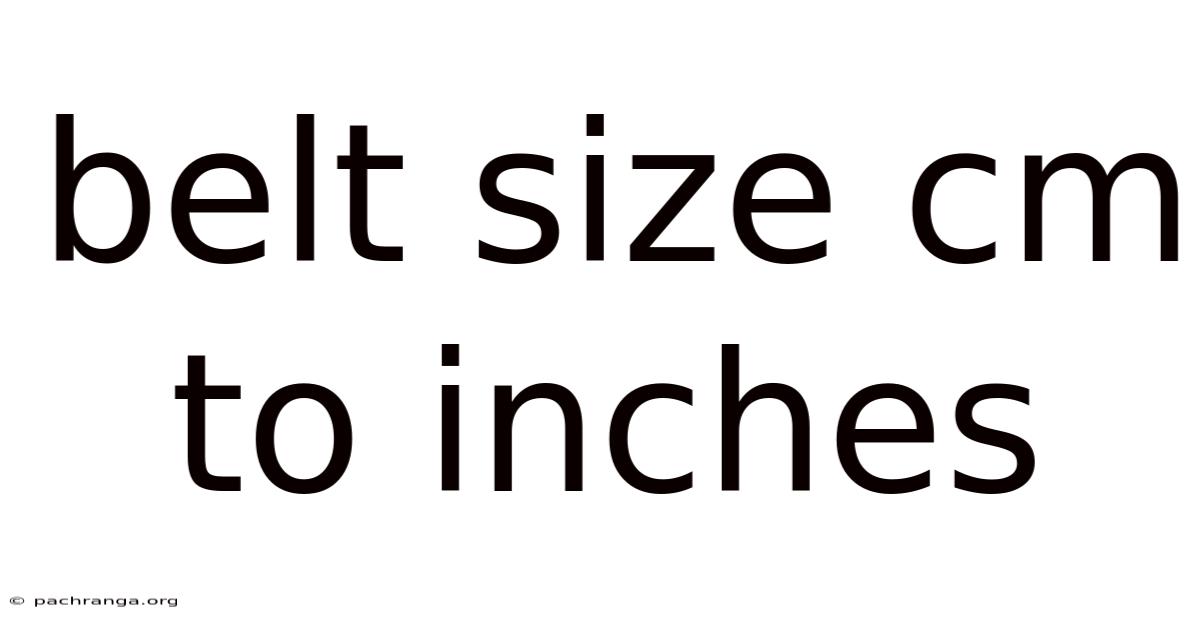 Belt Size Cm To Inches