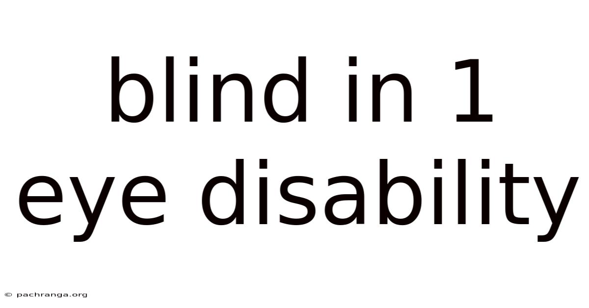 Blind In 1 Eye Disability