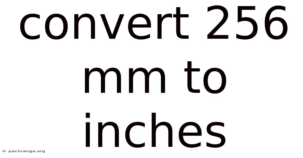 Convert 256 Mm To Inches