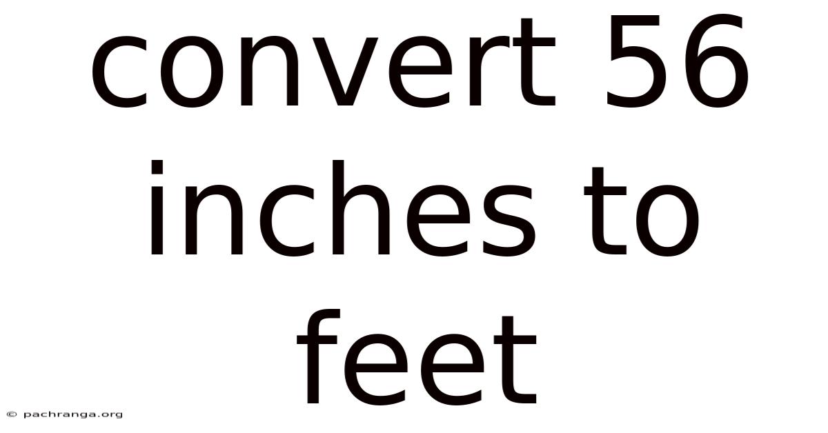 Convert 56 Inches To Feet
