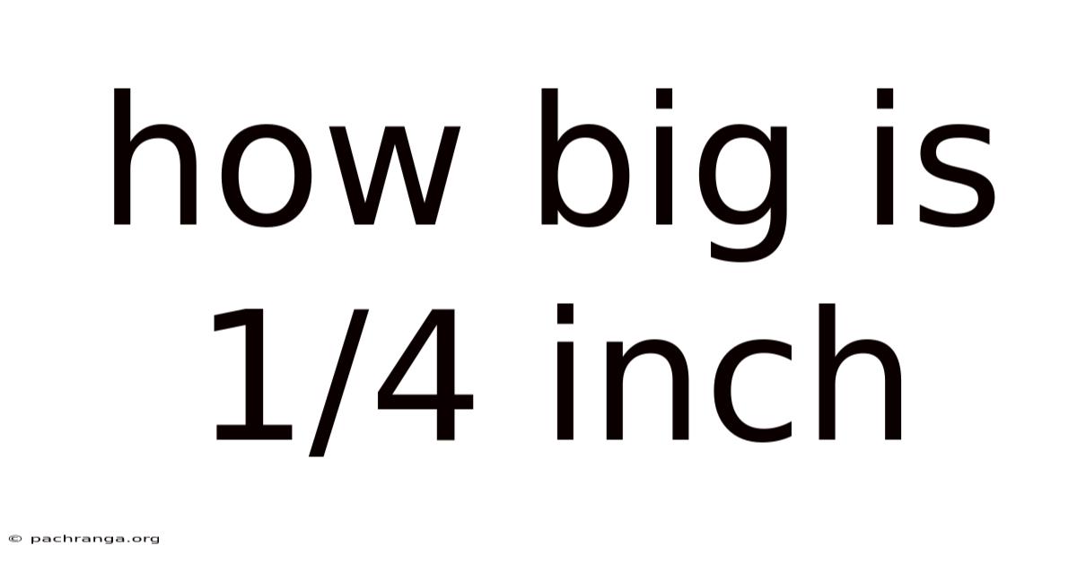 How Big Is 1/4 Inch