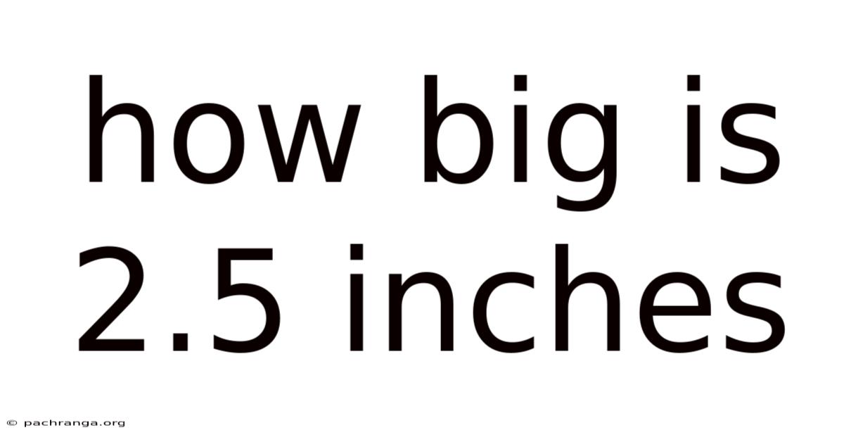 How Big Is 2.5 Inches