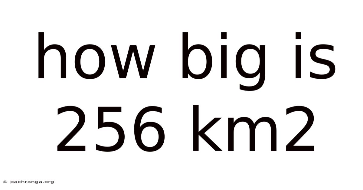 How Big Is 256 Km2