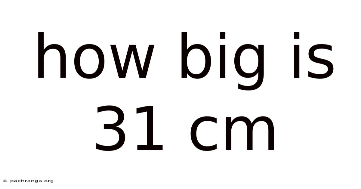 How Big Is 31 Cm