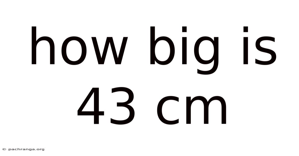 How Big Is 43 Cm