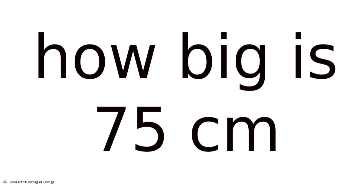 How Big Is 75 Cm