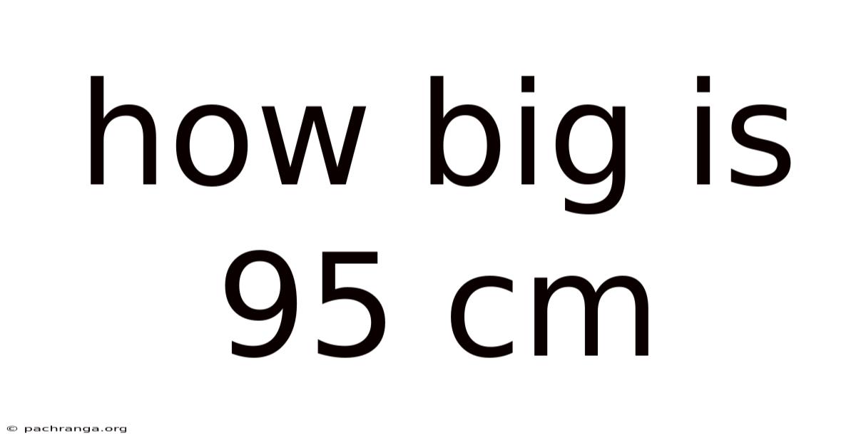 How Big Is 95 Cm
