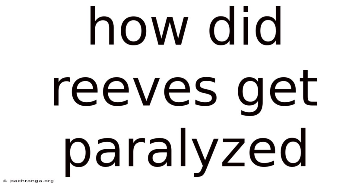 How Did Reeves Get Paralyzed