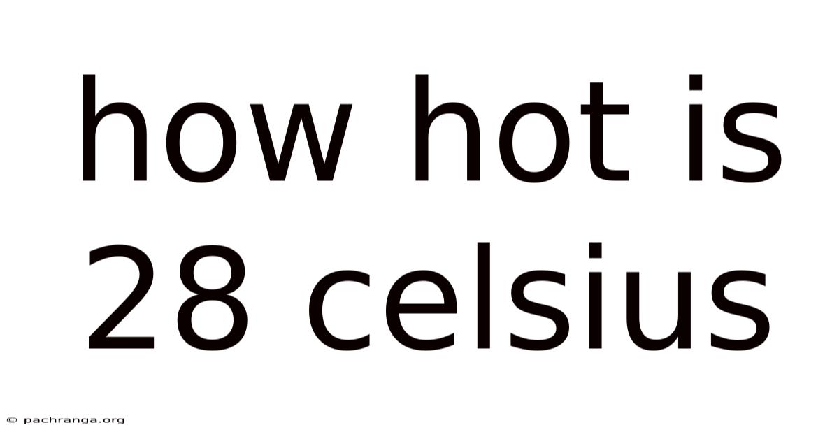How Hot Is 28 Celsius