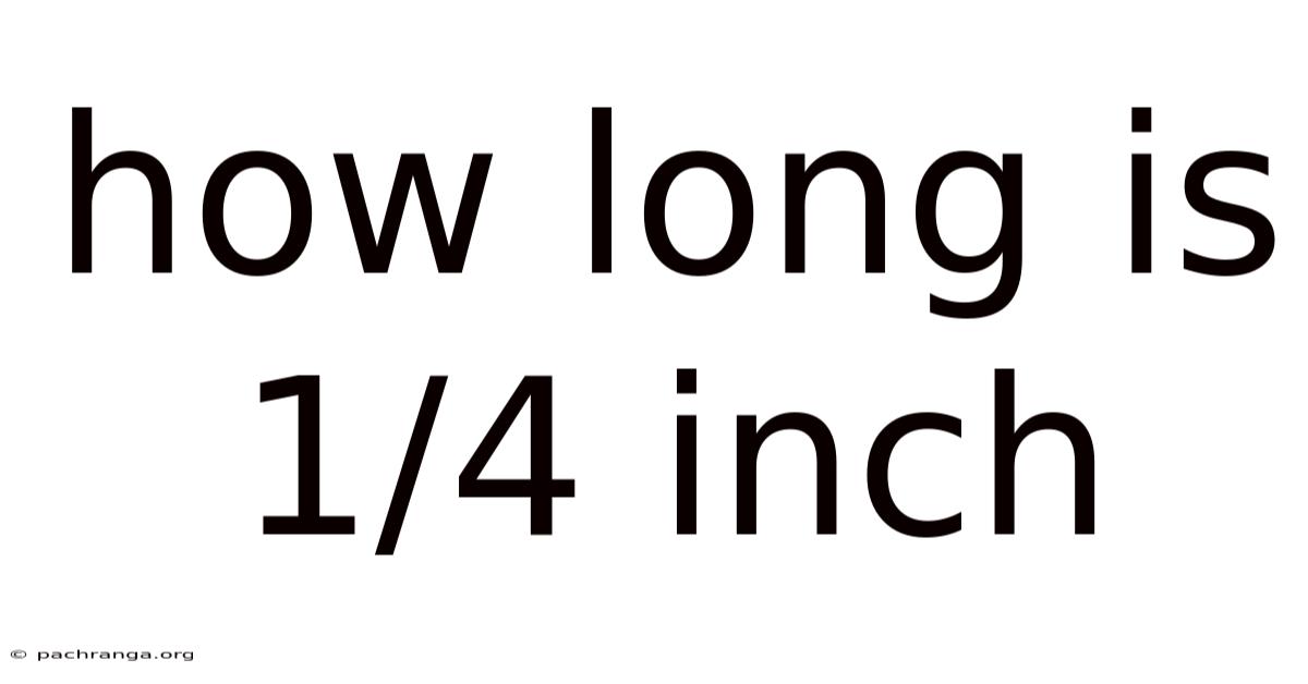 How Long Is 1/4 Inch