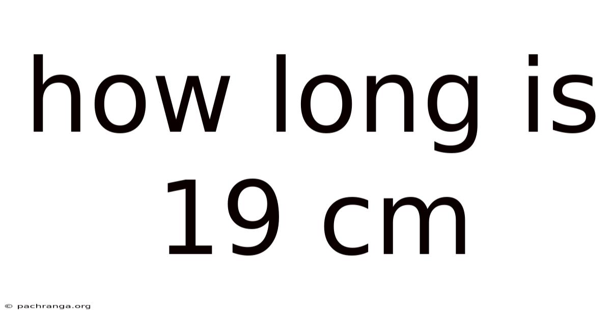How Long Is 19 Cm