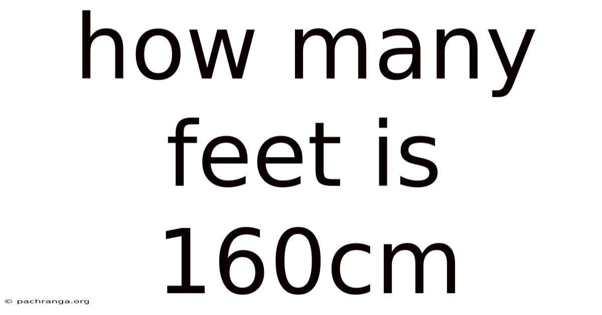How Many Feet Is 160cm