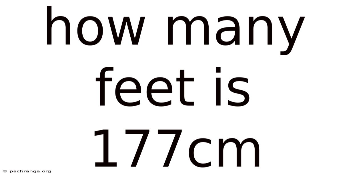 How Many Feet Is 177cm