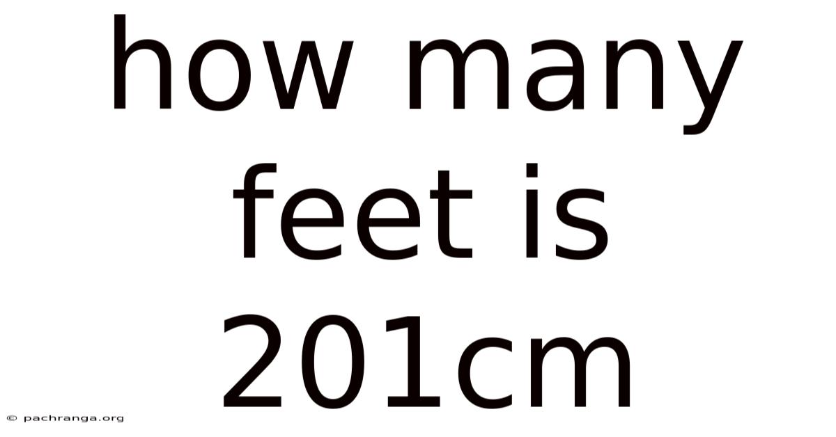 How Many Feet Is 201cm