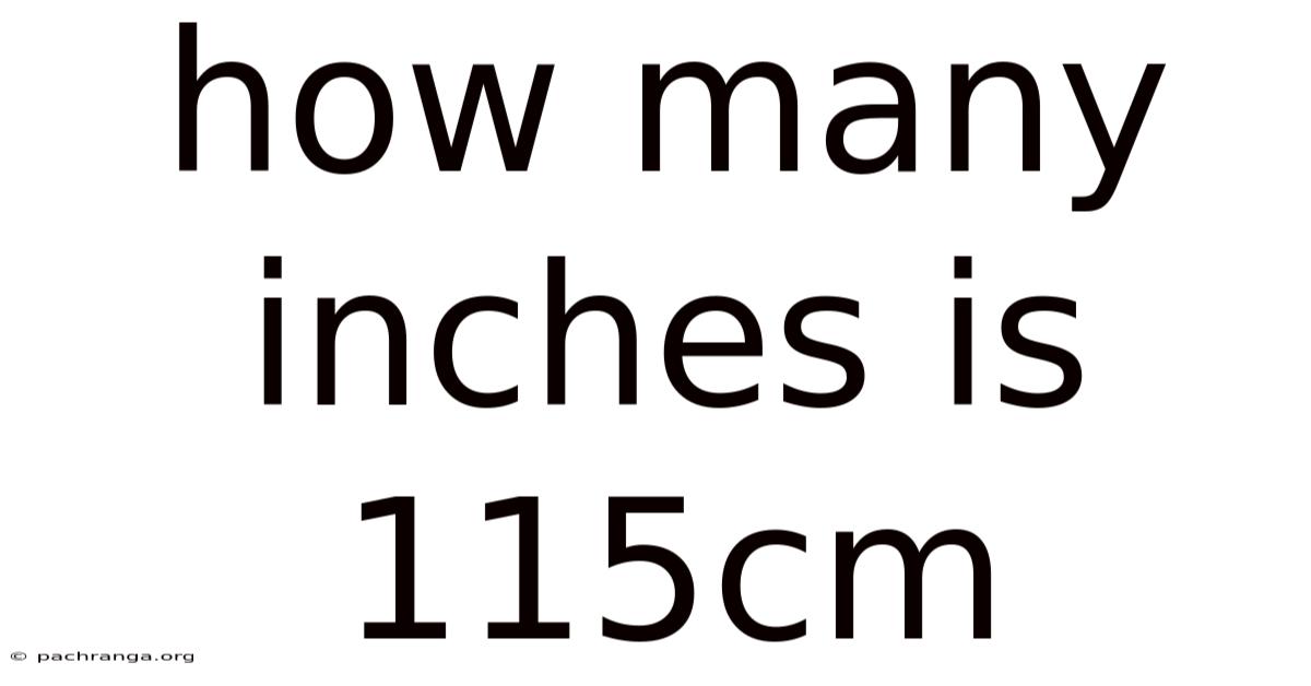 How Many Inches Is 115cm