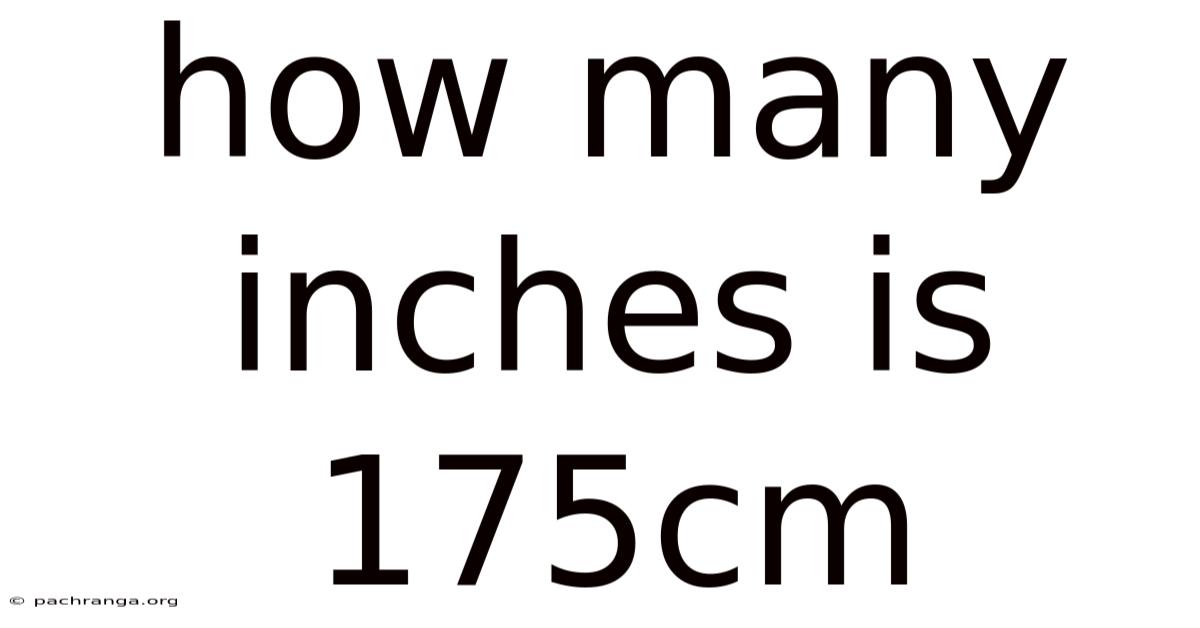 How Many Inches Is 175cm