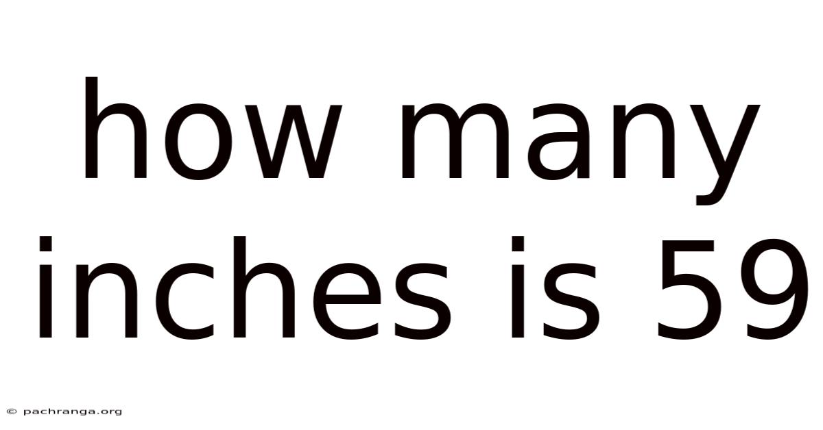 How Many Inches Is 59