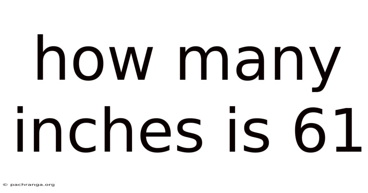 How Many Inches Is 61